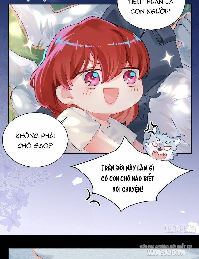 Bạn Trai Biến Dị Của Tôi!!! Chapter 12 - Trang 2