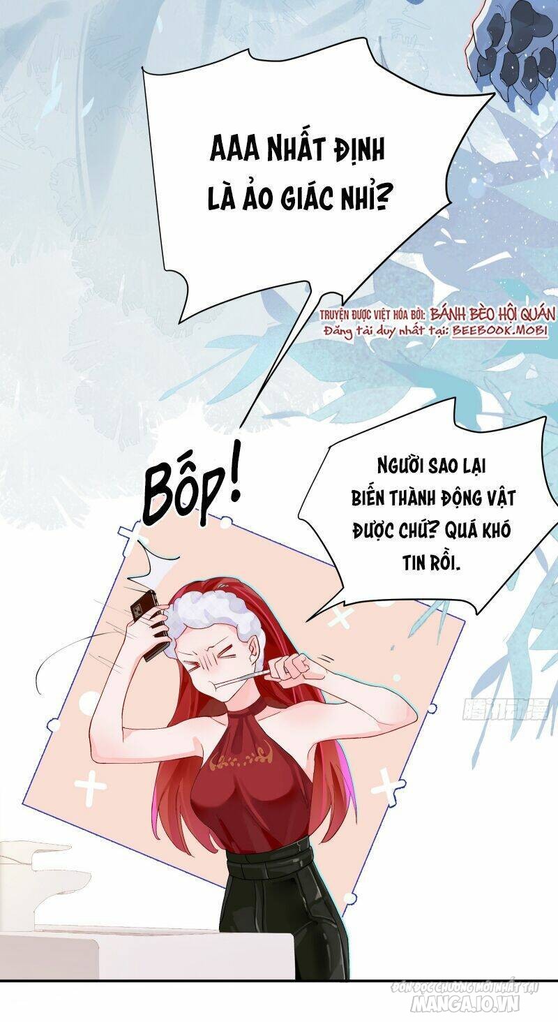 Bạn Trai Biến Dị Của Tôi!!! Chapter 3 - Trang 2