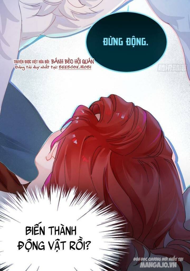 Bạn Trai Biến Dị Của Tôi!!! Chapter 2 - Trang 2