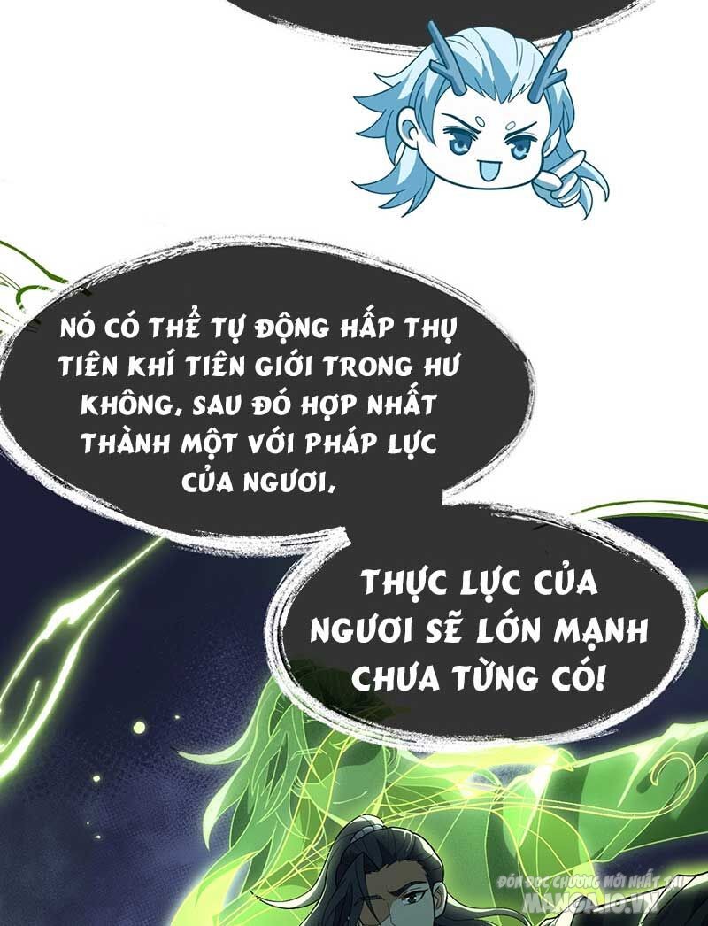 Vĩnh Sinh Chapter 74 - Trang 2