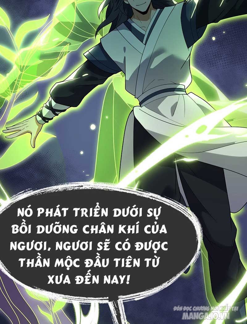 Vĩnh Sinh Chapter 74 - Trang 2