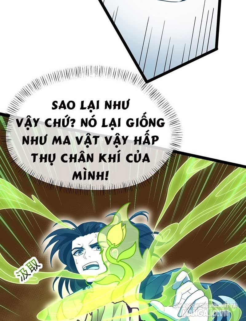 Vĩnh Sinh Chapter 74 - Trang 2