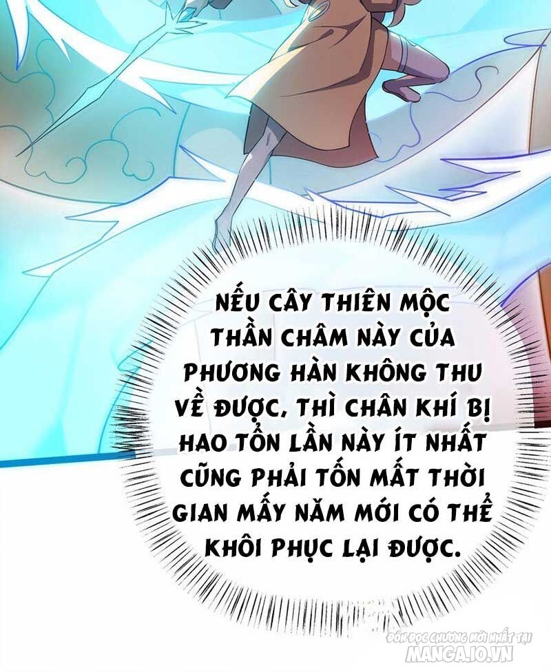 Vĩnh Sinh Chapter 67 - Trang 2