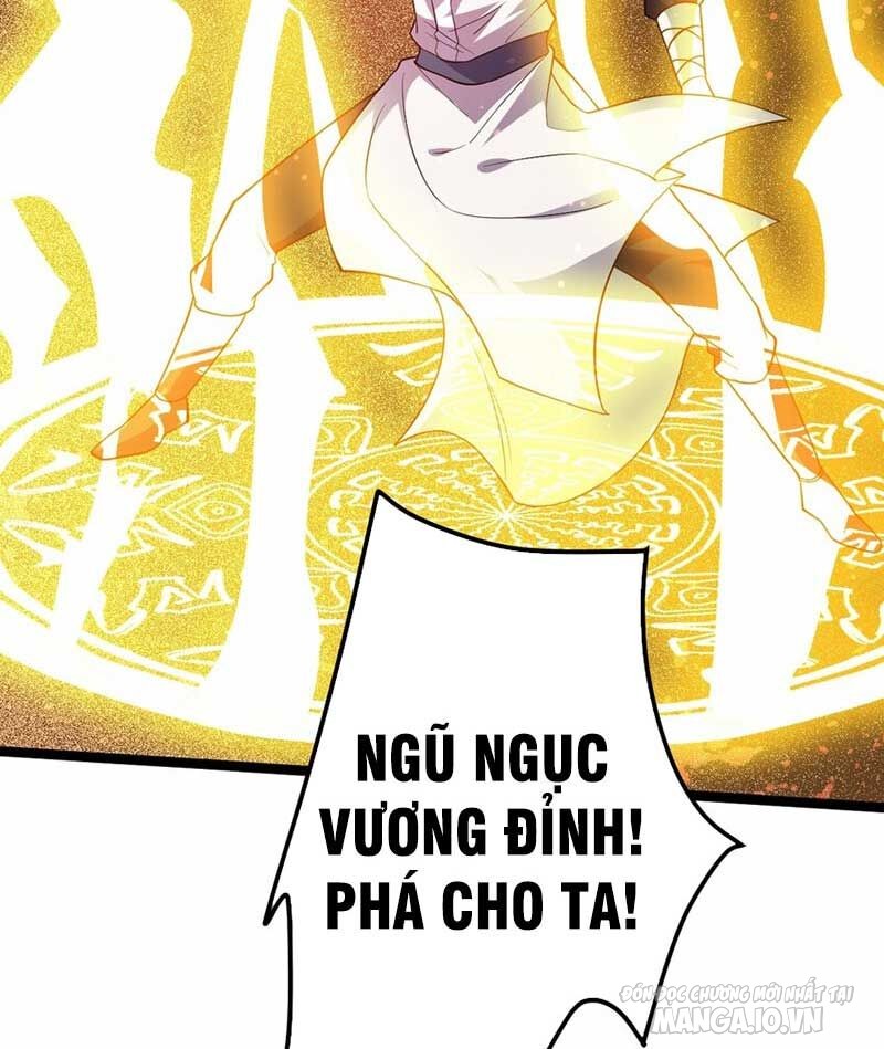 Vĩnh Sinh Chapter 67 - Trang 2