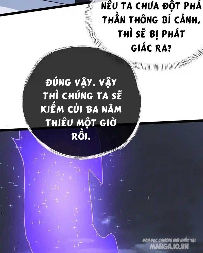 Vĩnh Sinh Chapter 49 - Trang 2