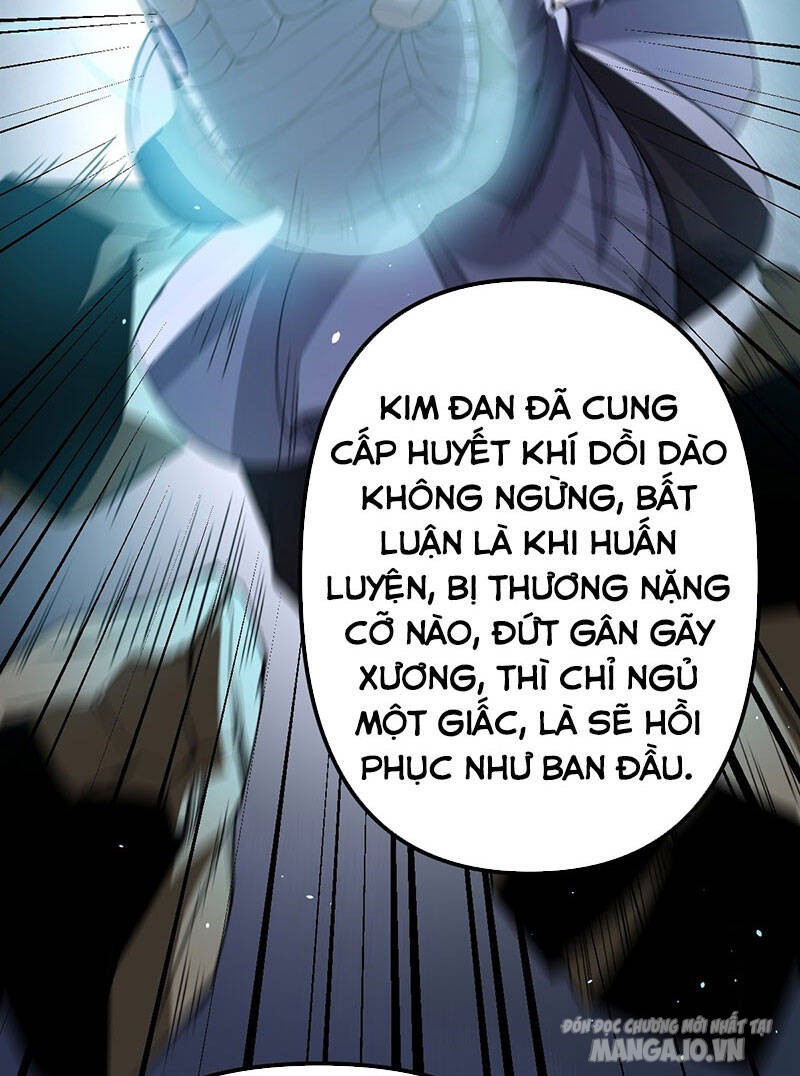 Vĩnh Sinh Chapter 3 - Trang 2