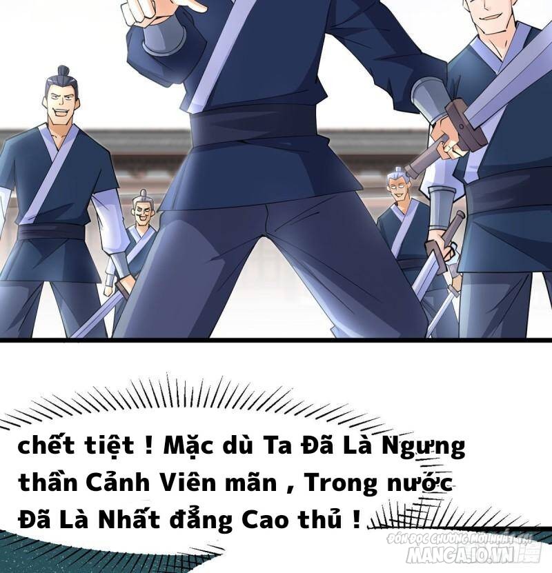 Ta Cùng Lão Bà Thống Trị Tam Giới Chapter 14 - Trang 2