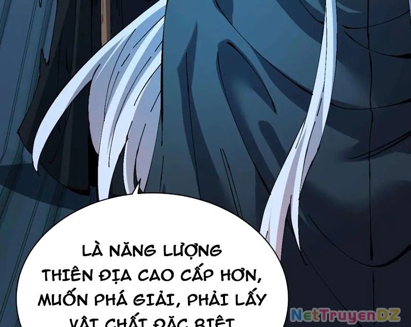 Sư Tôn: Nghịch Đồ Này Mới Không Phải Là Thánh Tử Chapter 99 - Trang 2