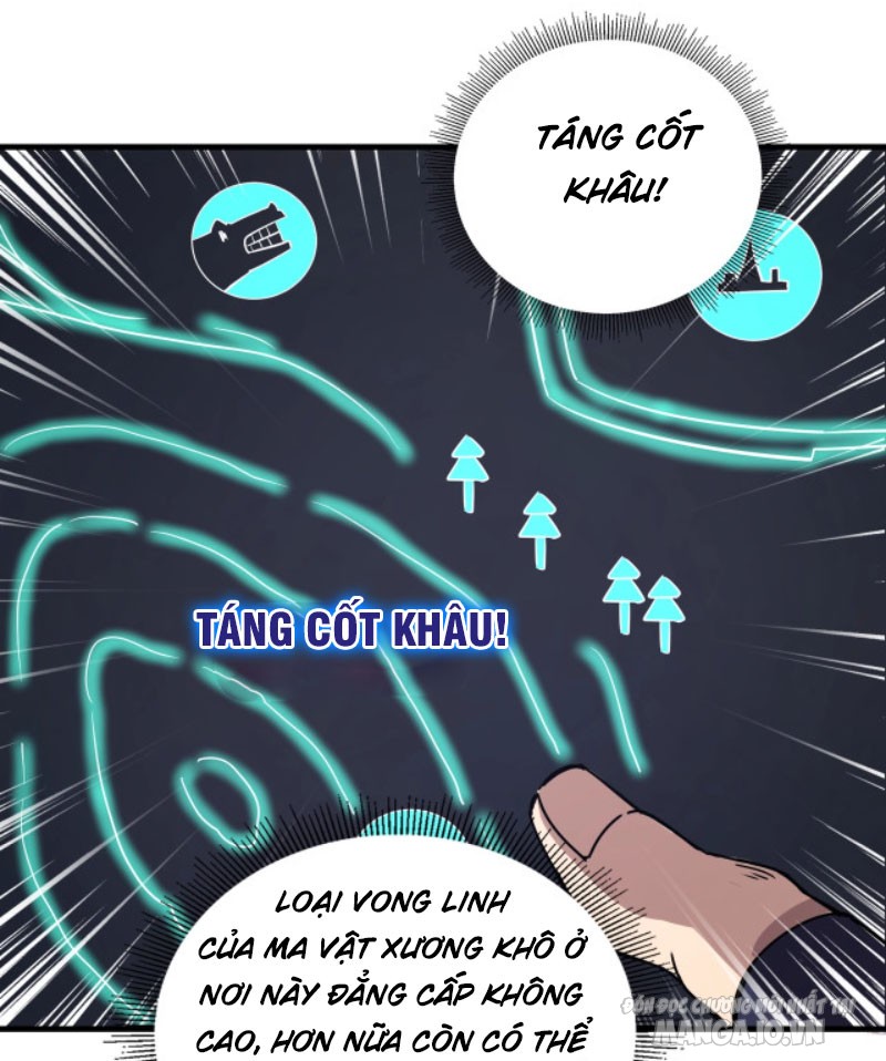 Toàn Dân Ngự Linh: Linh Sủng Của Ta Là Nữ Tang Thi Chapter 2 - Trang 2