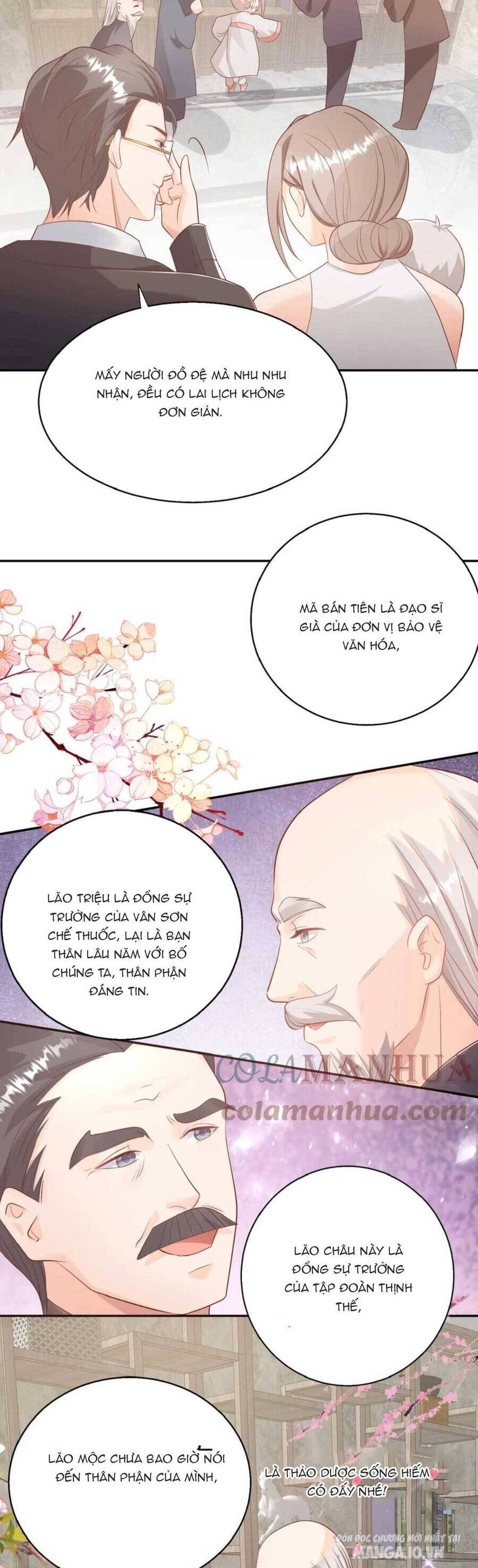 Tiểu Manh Bảo Bốn Tuổi Theo Sư Phụ Xuất Sơn Chapter 67 - Trang 2