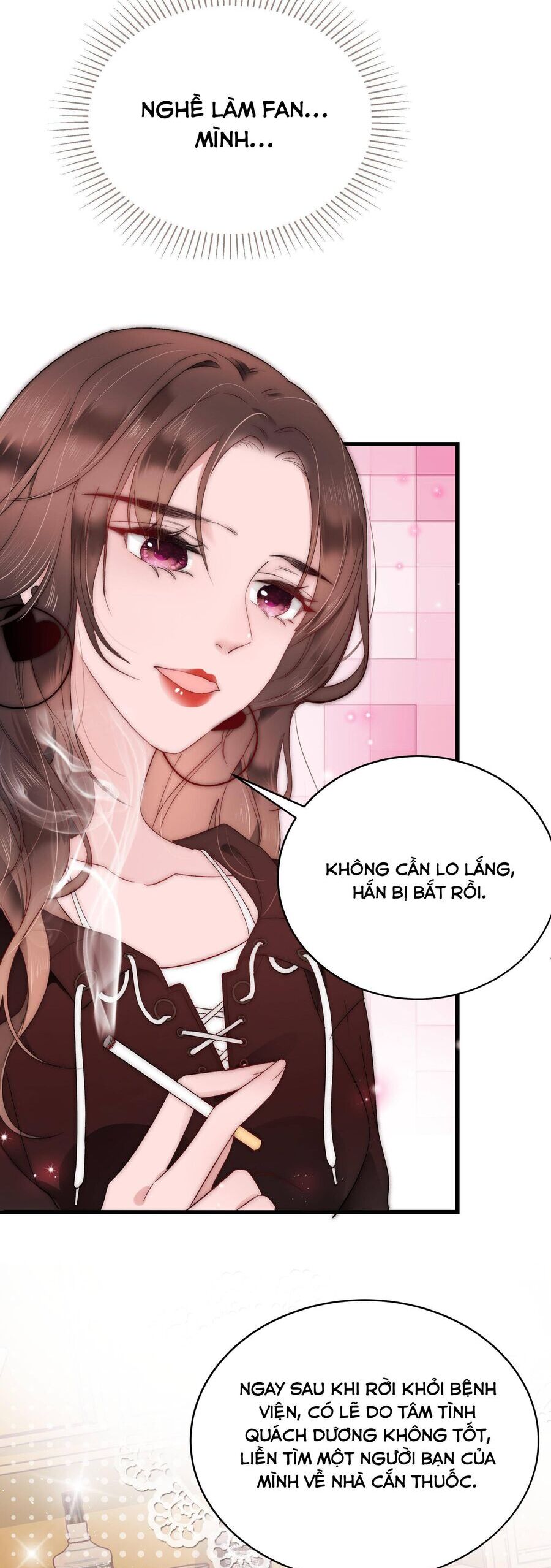 Nghề Làm Fan Chapter 2 - Trang 2