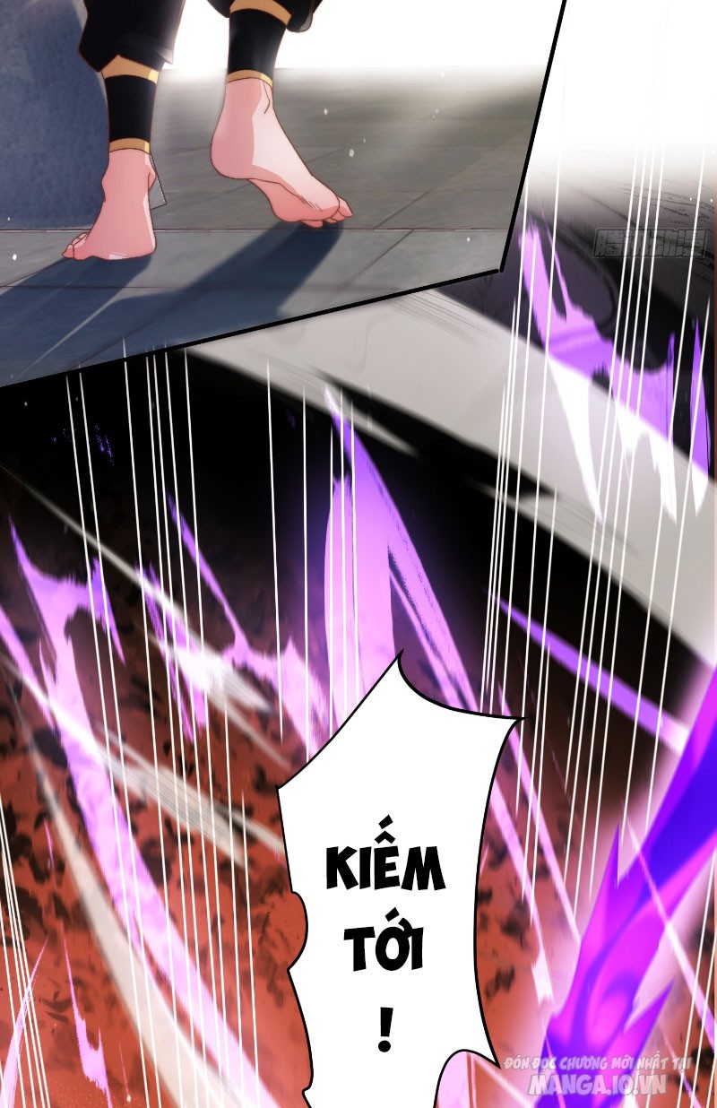 Mỗi Nữ Đồ Đệ Đều Muốn Giết Ta Chapter 4 - Trang 2