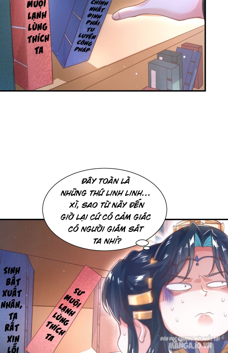 Mỗi Nữ Đồ Đệ Đều Muốn Giết Ta Chapter 4 - Trang 2