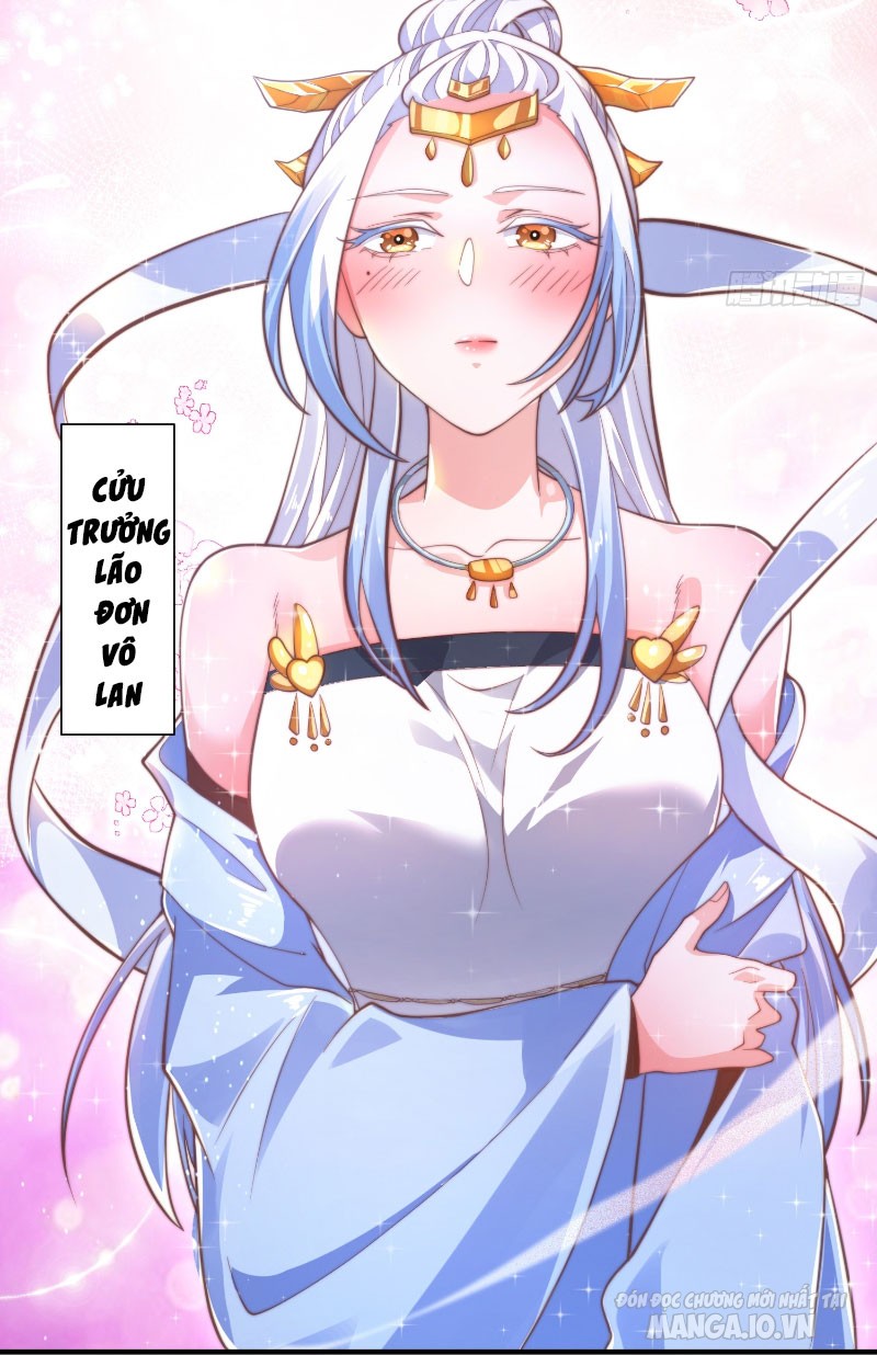 Mỗi Nữ Đồ Đệ Đều Muốn Giết Ta Chapter 4 - Trang 2