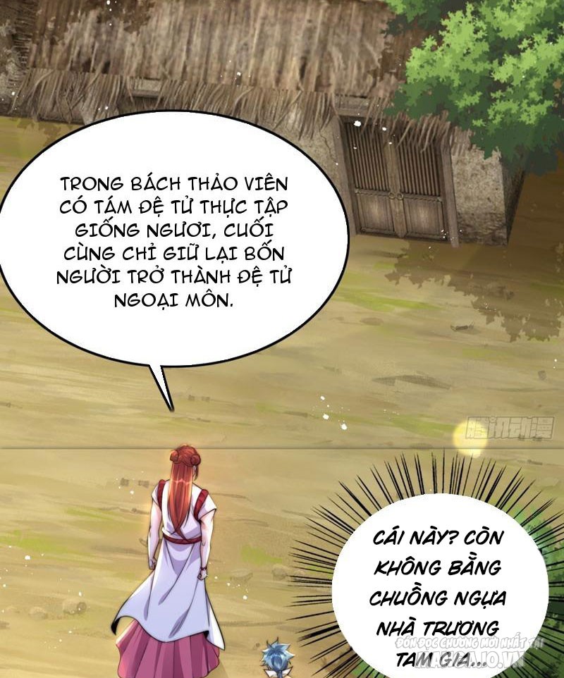 Một Người, Một Lừa, Một Chó Đi Tu Tiên Chapter 4 - Trang 2