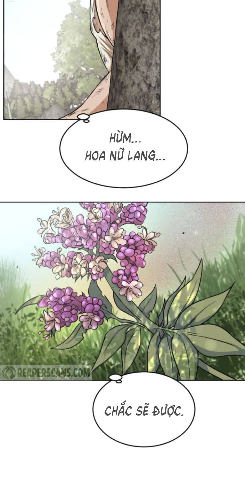 Cổ Vật Trong Hầm Tối Chapter 3 - Trang 2