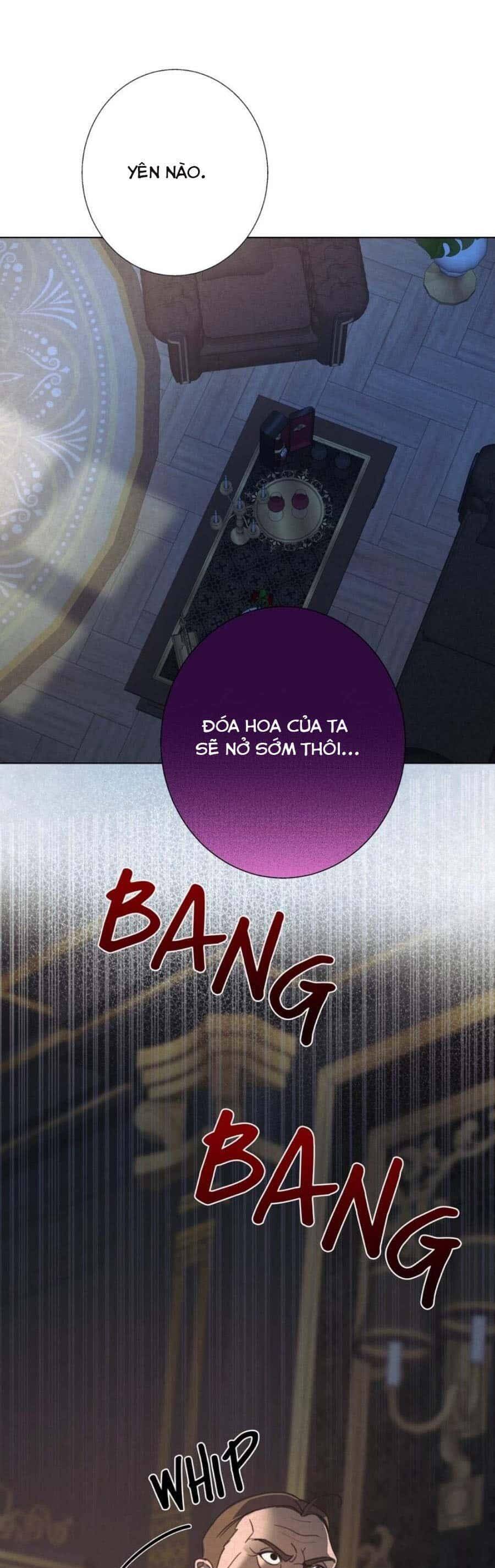 Lời Dụ Hoặc Nguy Hiểm Chapter 4 - Trang 2