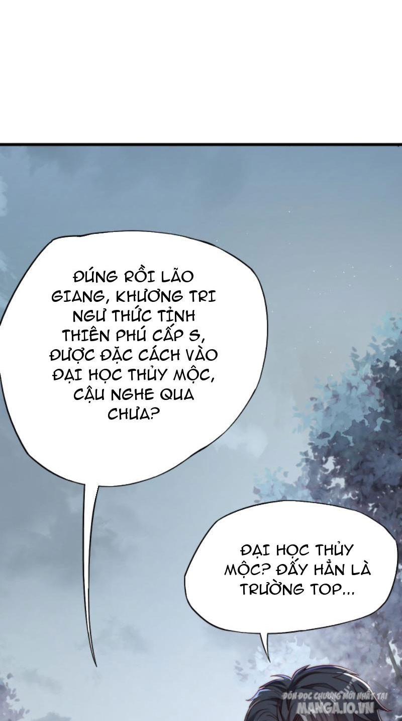 Cày Quái Thành Thần: Ta Đánh Xuyên Qua Nhân Loại Cấm Khu! Chapter 2 - Trang 2