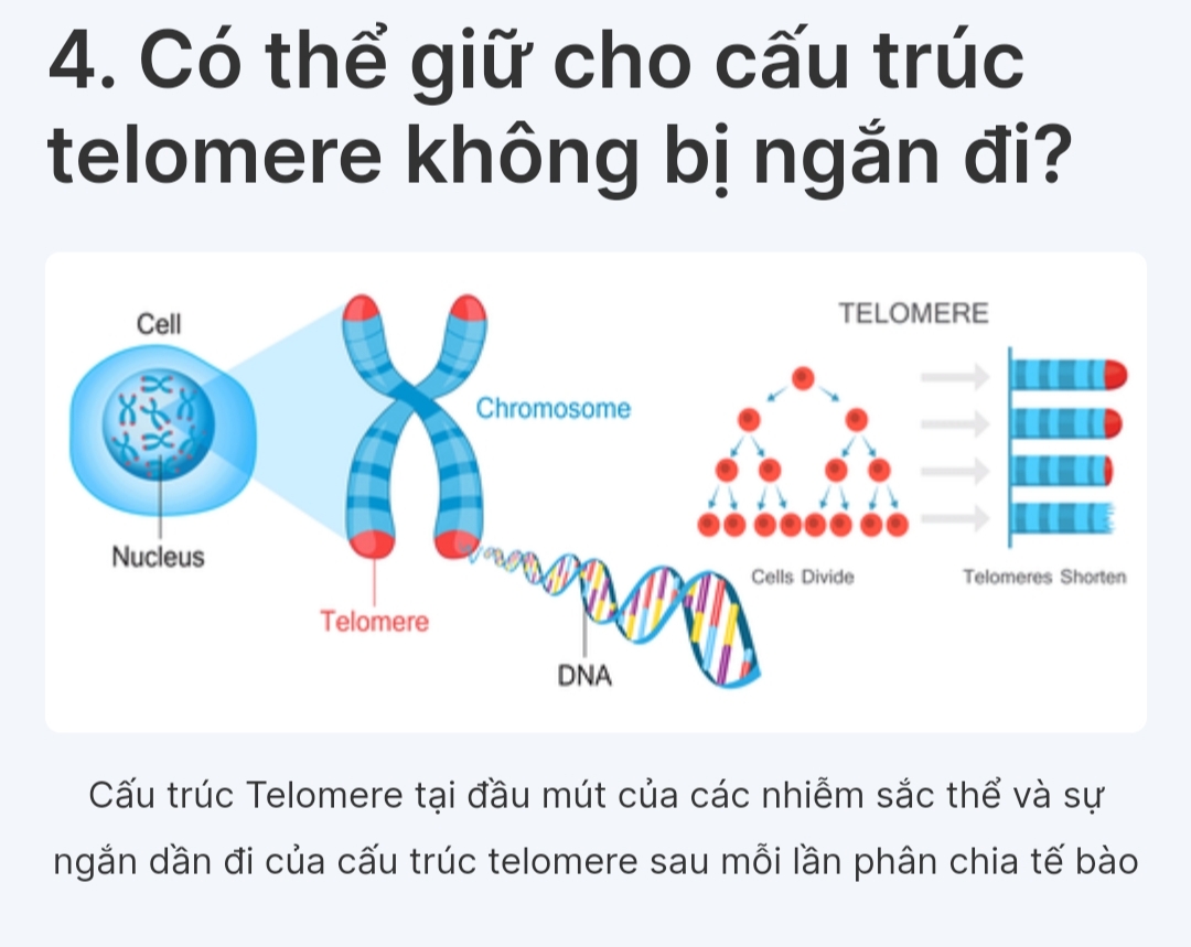 Giặt Là Vệ Tinh Chapter 7 - Trang 2