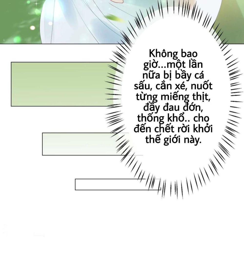 Trọng Sinh Siêu Sao – Lăng Thiếu Sủng Nghiện Chapter 4 - Trang 2