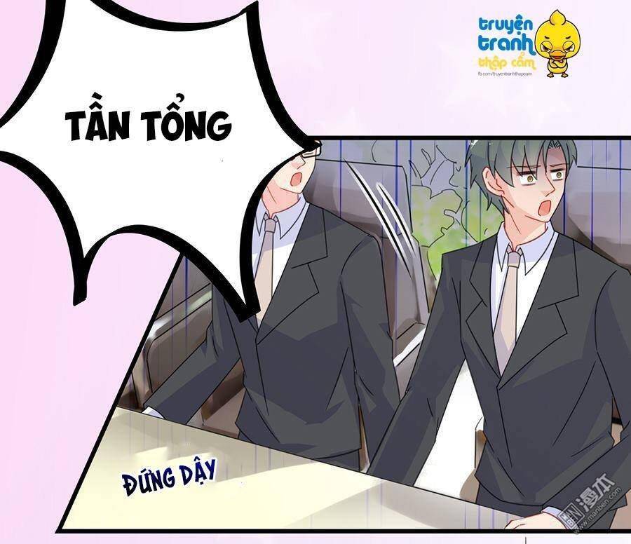 Chọc Tới Chủ Tịch Tổng Tài 2 Chapter 165 - Trang 2