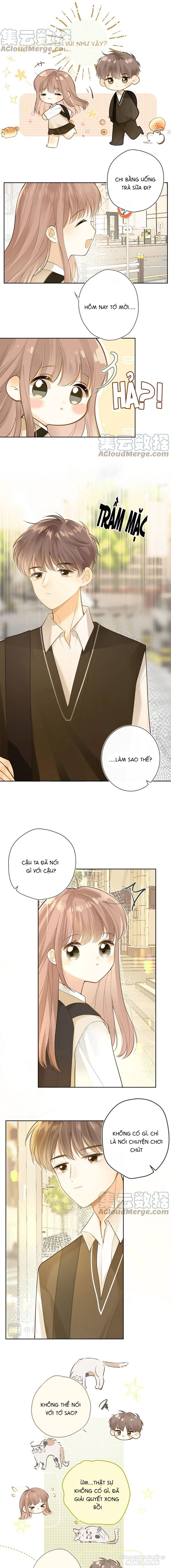 Tình Yêu Duy Nhất Của Tôi Chapter 46 - Trang 2