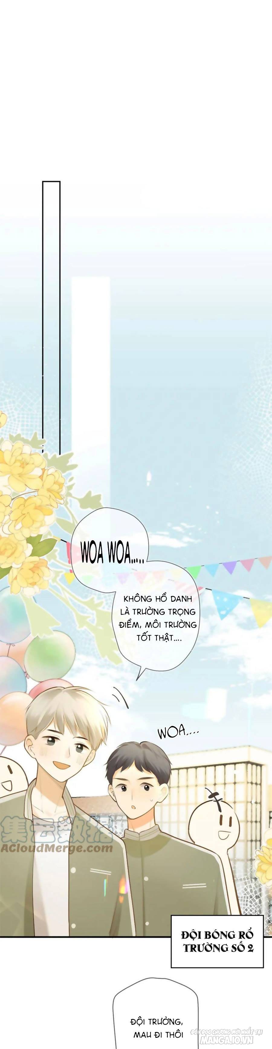 Tình Yêu Duy Nhất Của Tôi Chapter 43 - Trang 2