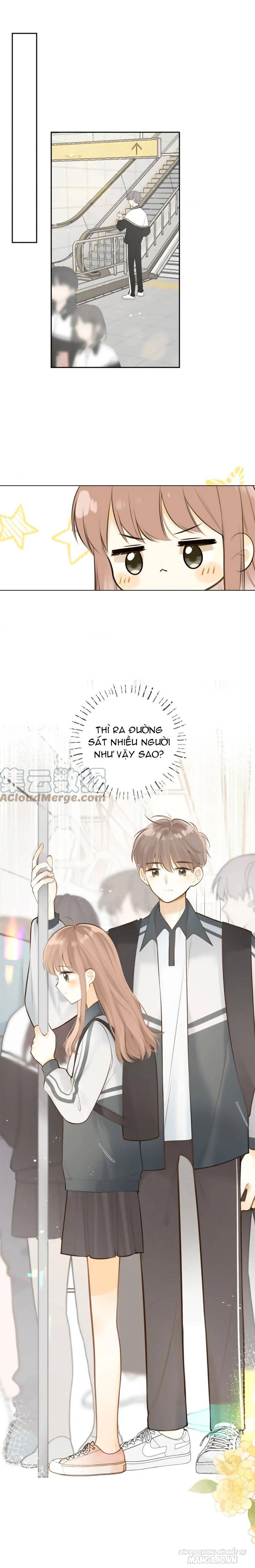 Tình Yêu Duy Nhất Của Tôi Chapter 41 - Trang 2