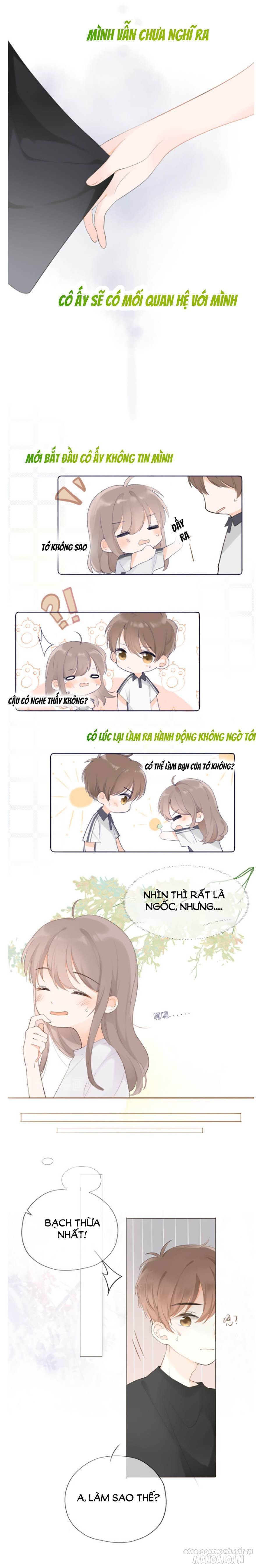 Tình Yêu Duy Nhất Của Tôi Chapter 8 - Trang 2