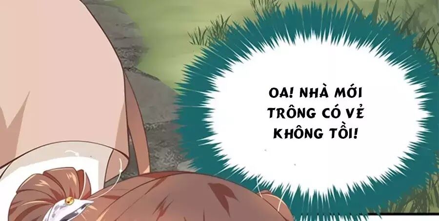 Chưởng Gia Tiểu Nương Tử Chapter 11 - Trang 2