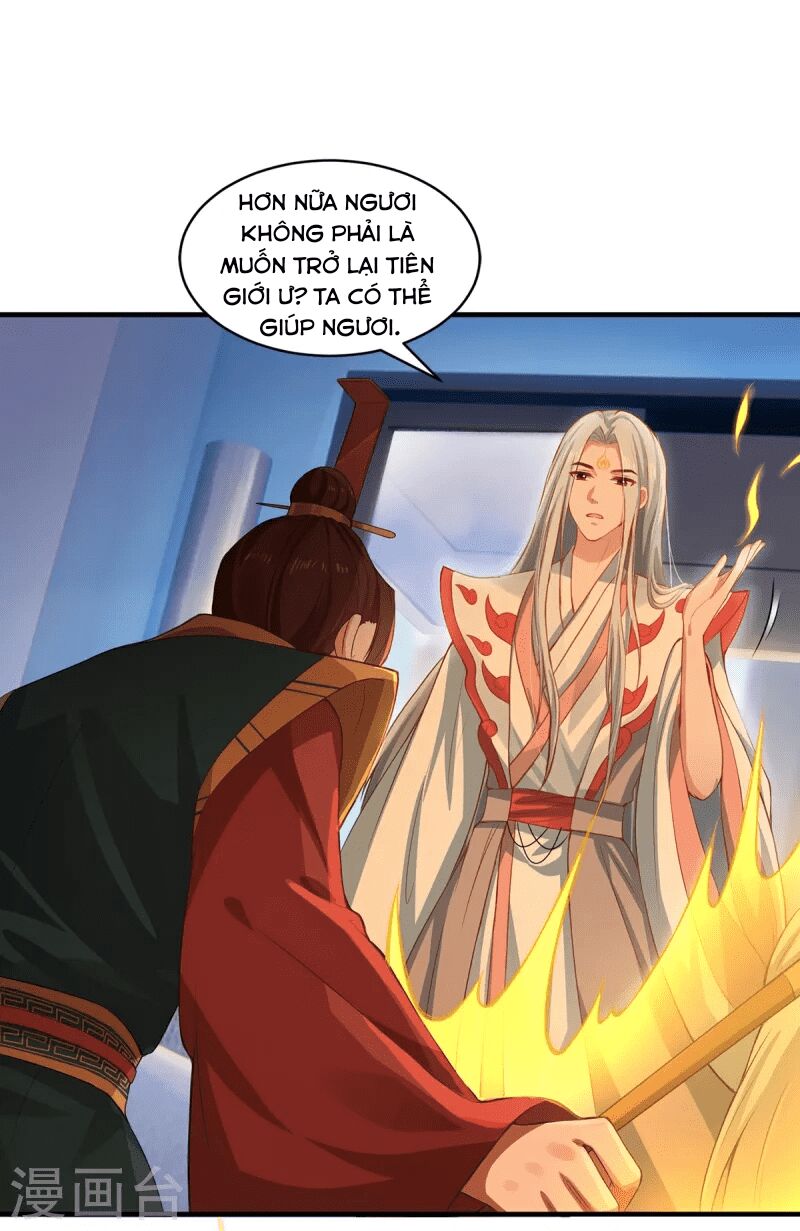 Ta Vốn Là Mèo Chapter 7 - Trang 2