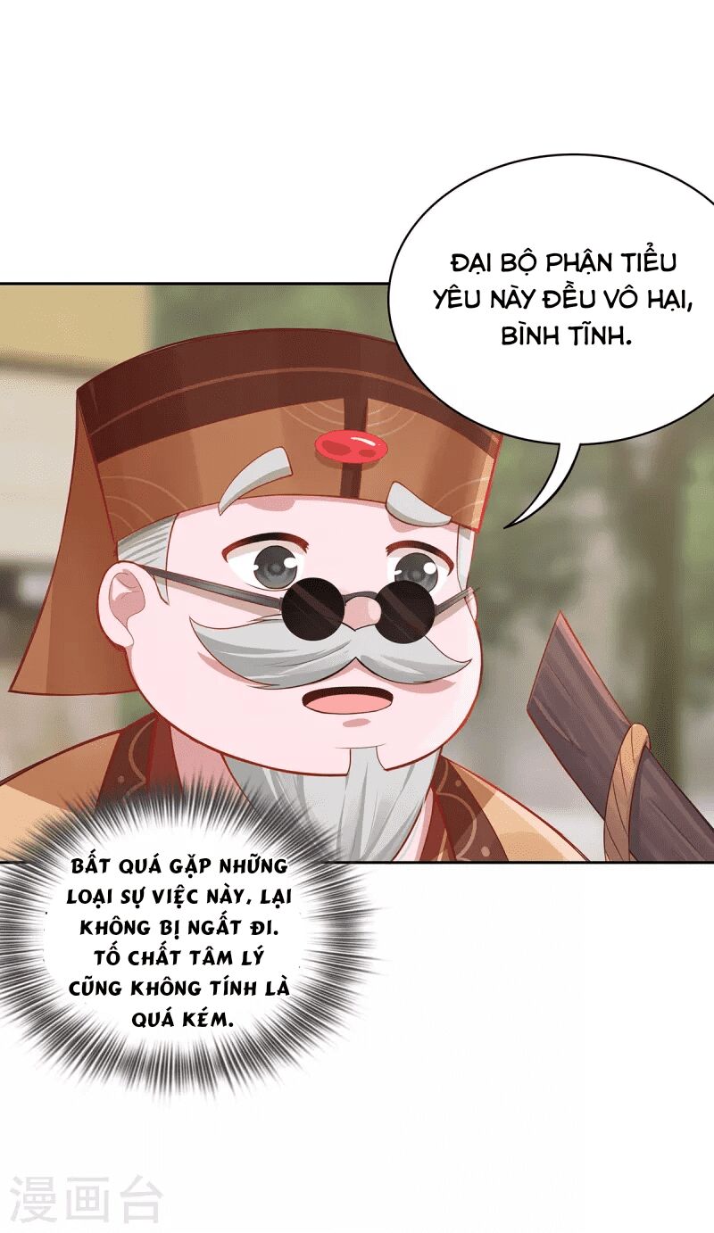 Ta Vốn Là Mèo Chapter 5 - Trang 2