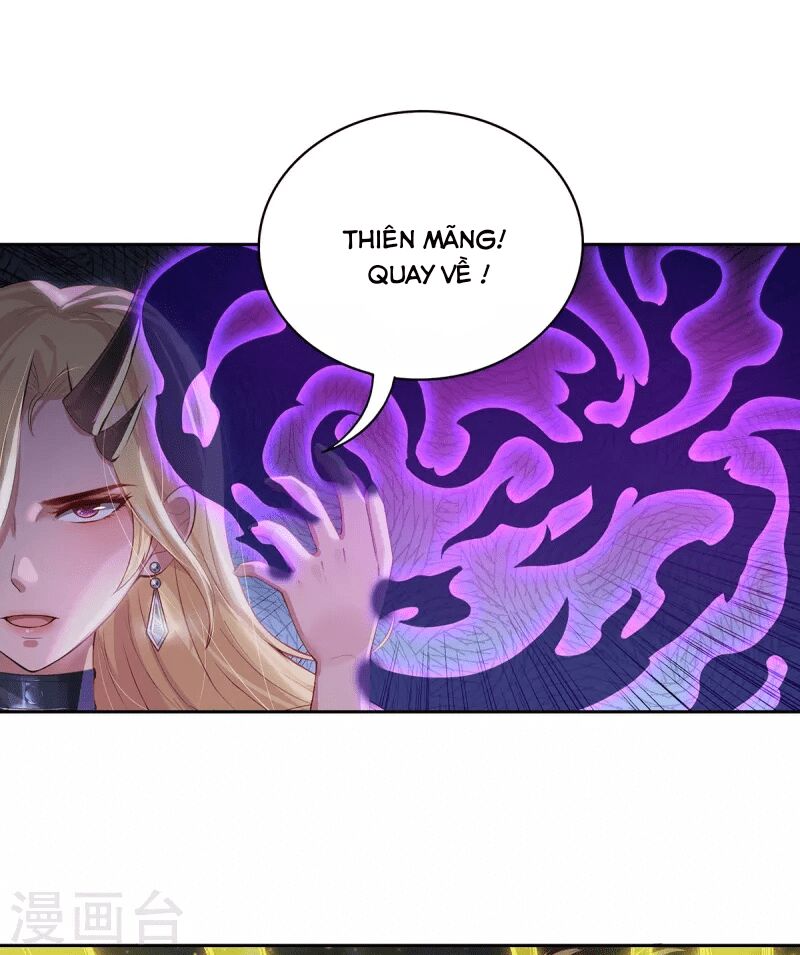 Ta Vốn Là Mèo Chapter 3 - Trang 2