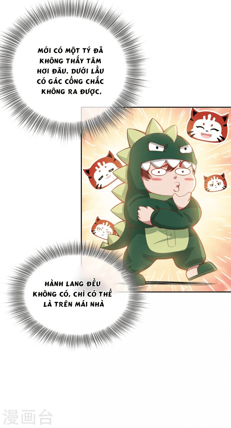 Ta Vốn Là Mèo Chapter 3 - Trang 2