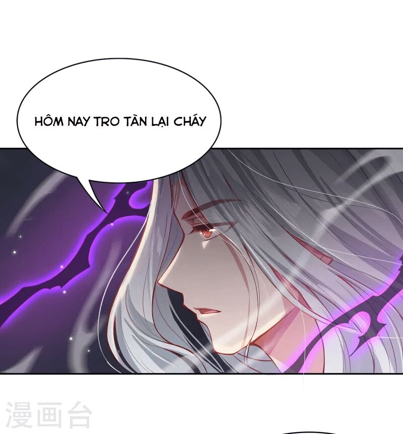 Ta Vốn Là Mèo Chapter 3 - Trang 2