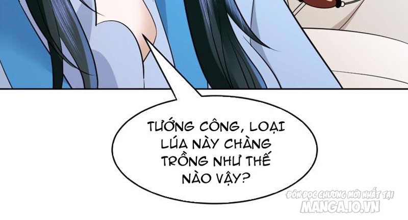 Phu Nhân Của Ta Là Nữ Đế Hoàng Triều Chapter 5 - Trang 2