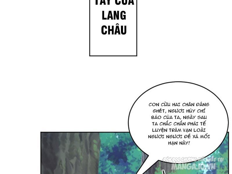 Phu Nhân Của Ta Là Nữ Đế Hoàng Triều Chapter 3 - Trang 2