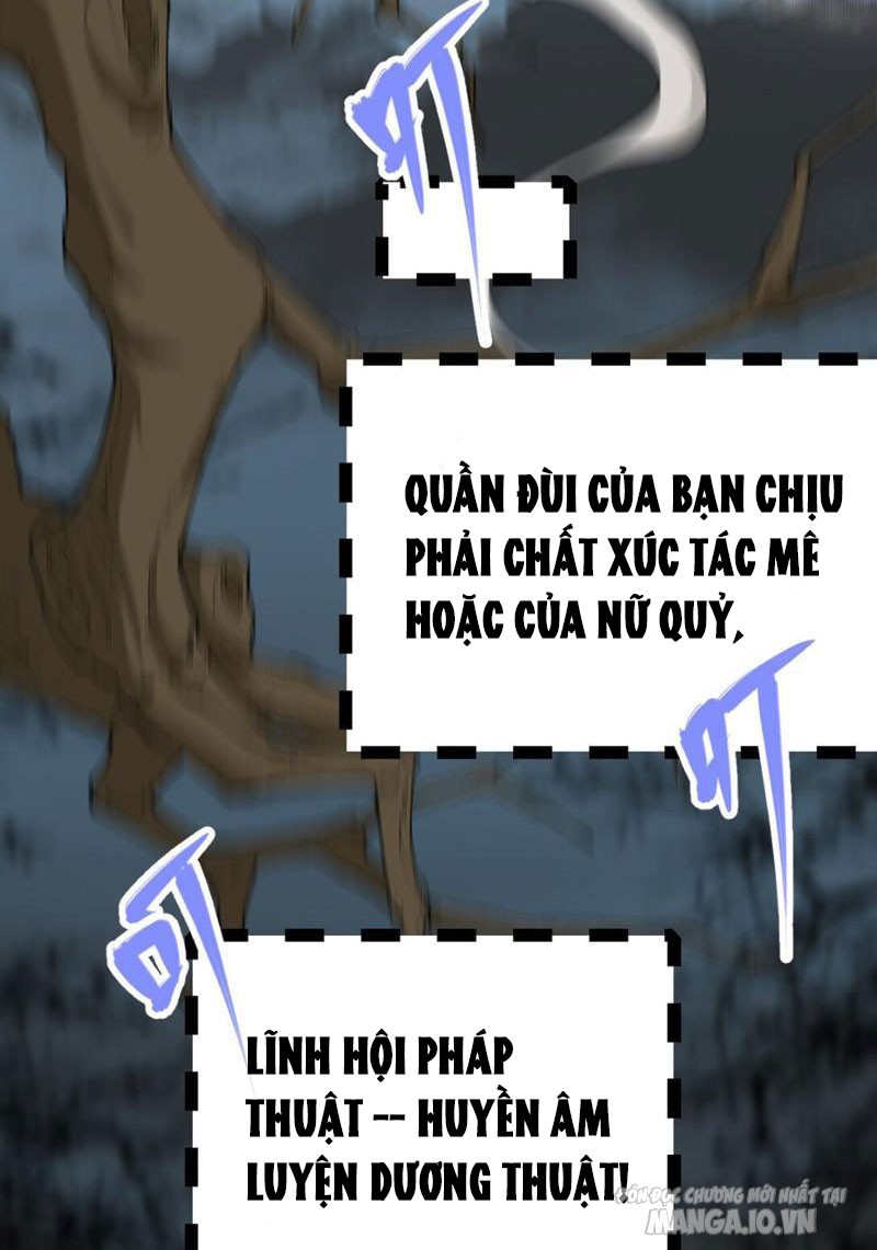 Pháp Bảo Của Ta Thành Tinh Rồi Chapter 3 - Trang 2