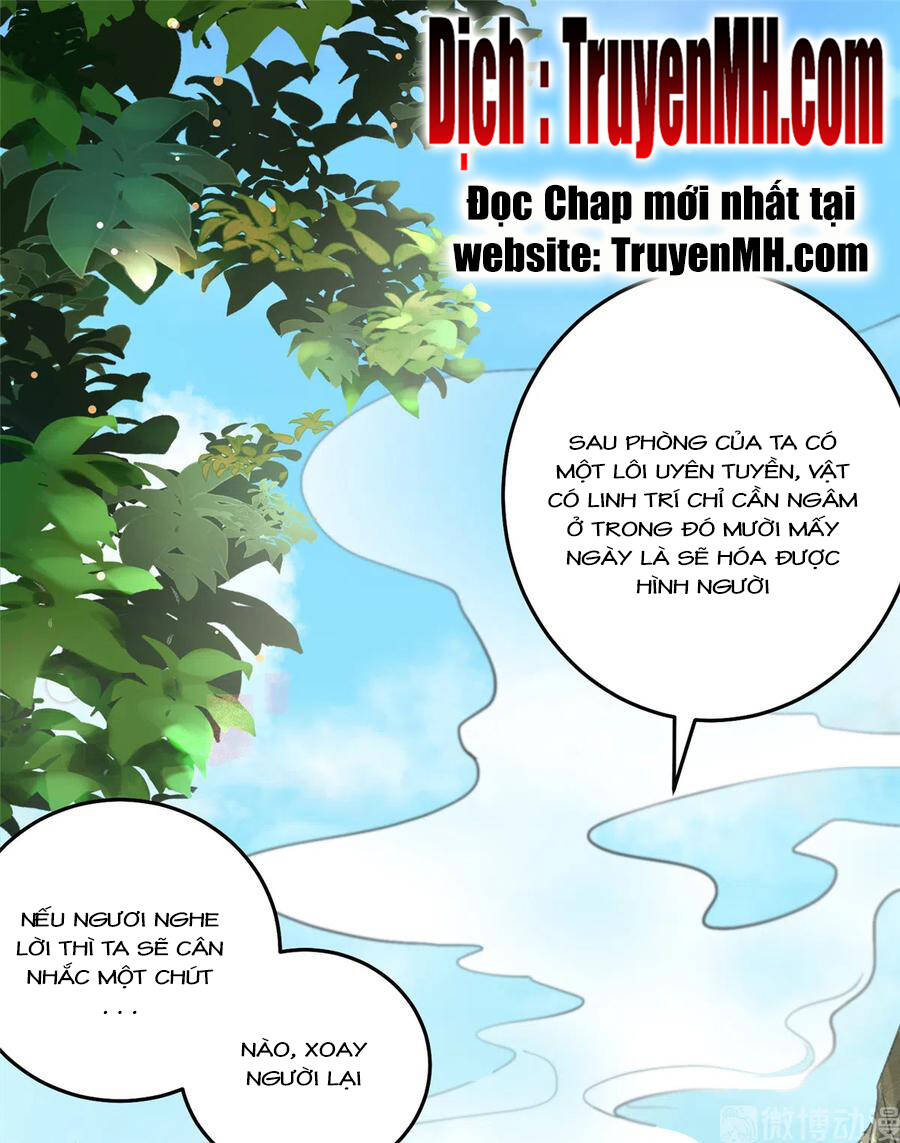 Đồ Đệ Nhà Ta Lại Quải Rồi Chapter 287 - Trang 2