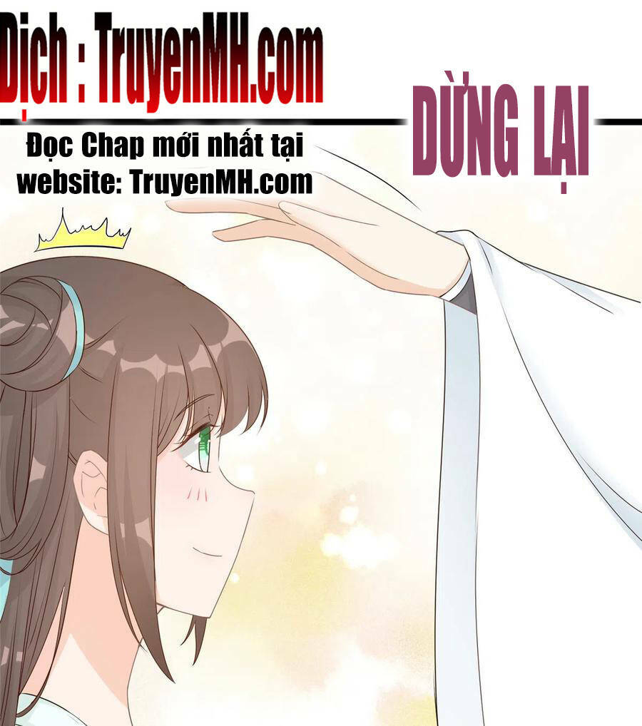 Đồ Đệ Nhà Ta Lại Quải Rồi Chapter 282 - Trang 2