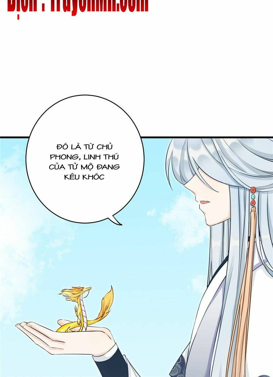 Đồ Đệ Nhà Ta Lại Quải Rồi Chapter 157 - Trang 2