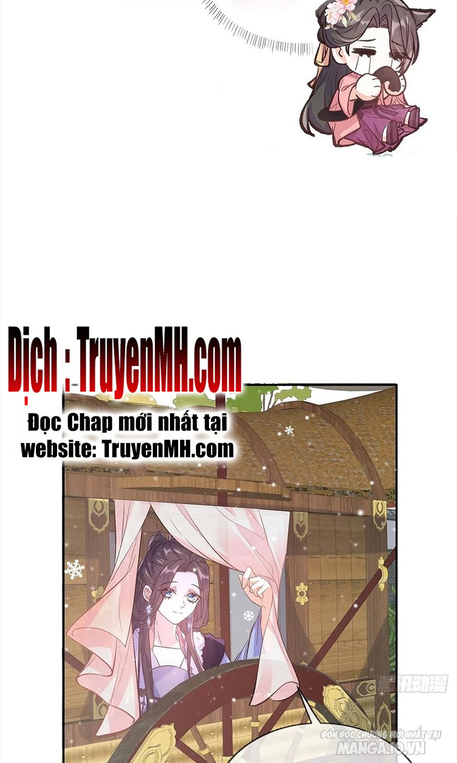 Kiều Mỵ Phu Lang, Tại Tuyến Lục Trà Chapter 121 - Trang 2