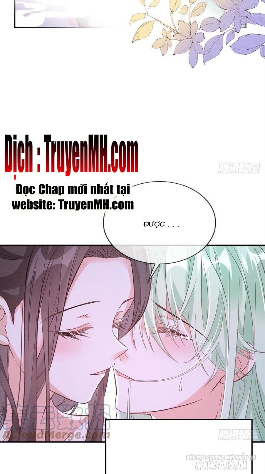 Kiều Mỵ Phu Lang, Tại Tuyến Lục Trà Chapter 104 - Trang 2