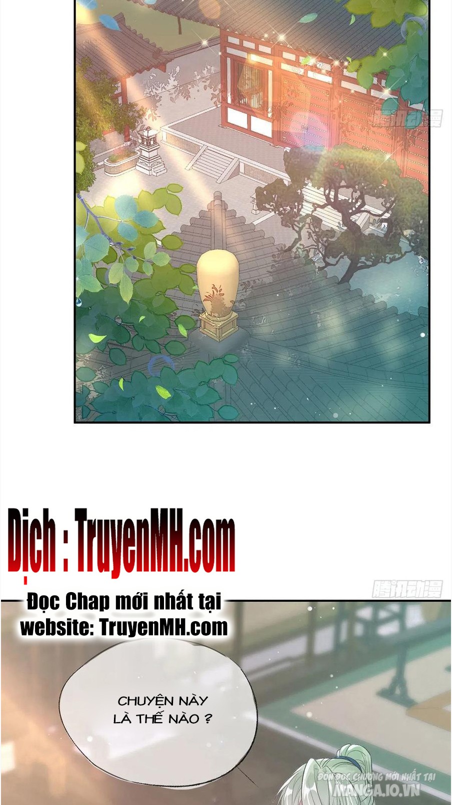 Kiều Mỵ Phu Lang, Tại Tuyến Lục Trà Chapter 95 - Trang 2