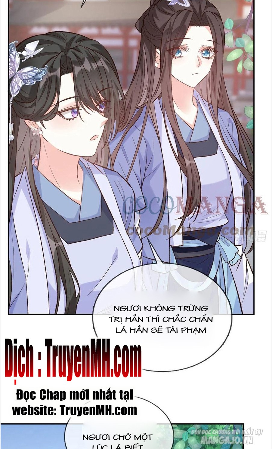 Kiều Mỵ Phu Lang, Tại Tuyến Lục Trà Chapter 81 - Trang 2