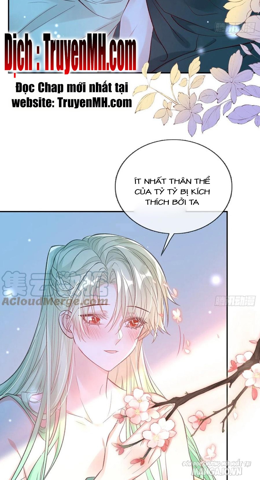 Kiều Mỵ Phu Lang, Tại Tuyến Lục Trà Chapter 78 - Trang 2