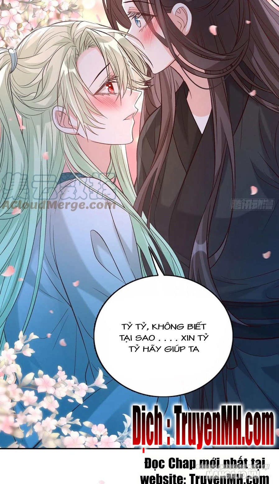 Kiều Mỵ Phu Lang, Tại Tuyến Lục Trà Chapter 76 - Trang 2