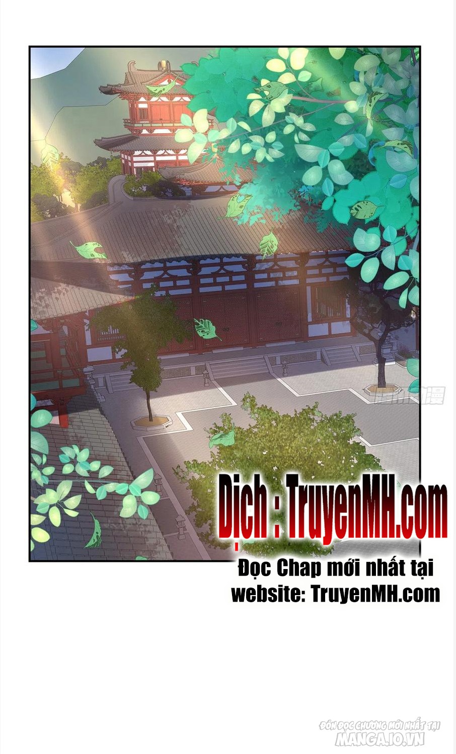 Kiều Mỵ Phu Lang, Tại Tuyến Lục Trà Chapter 69 - Trang 2