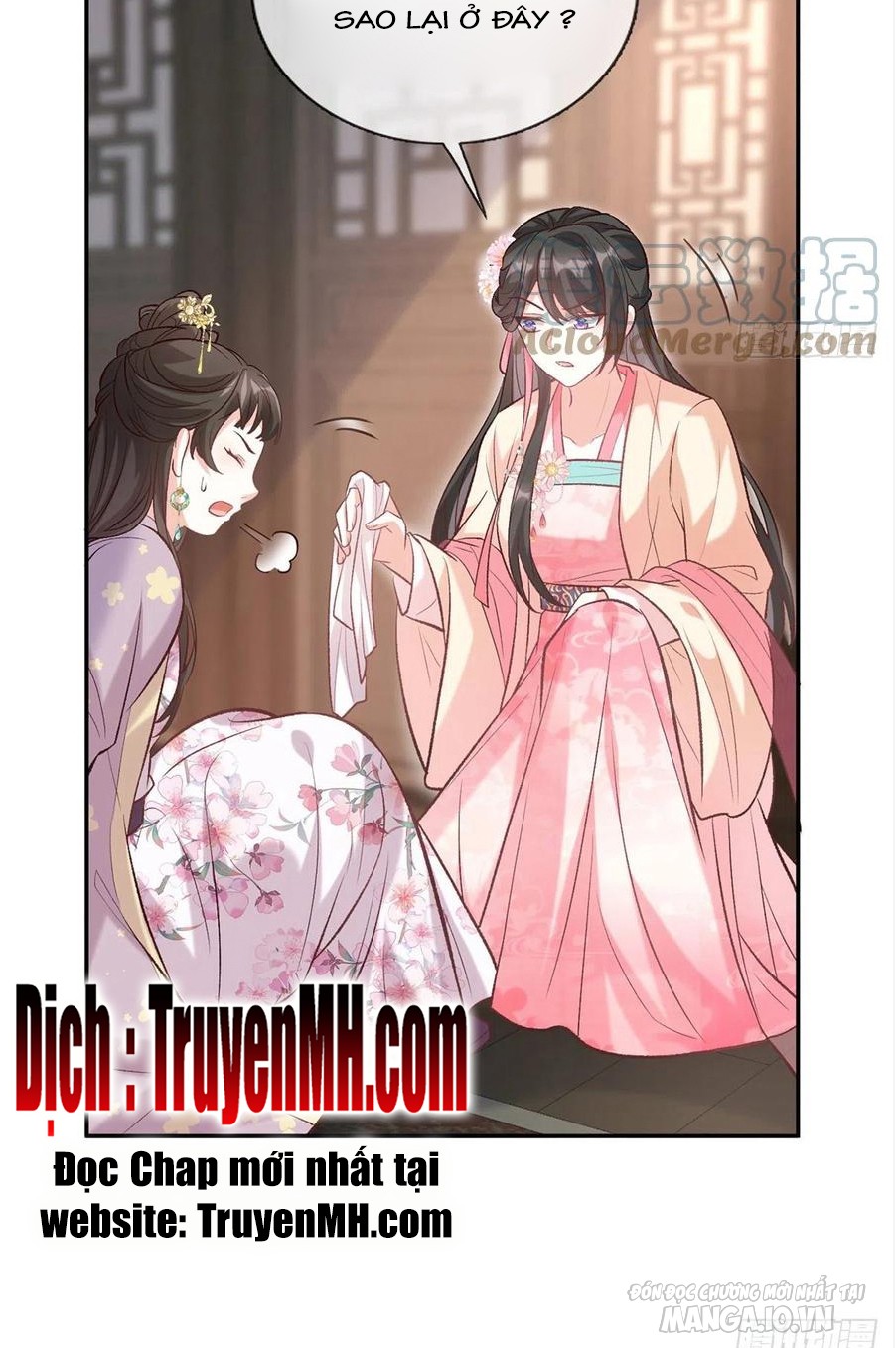 Kiều Mỵ Phu Lang, Tại Tuyến Lục Trà Chapter 68 - Trang 2