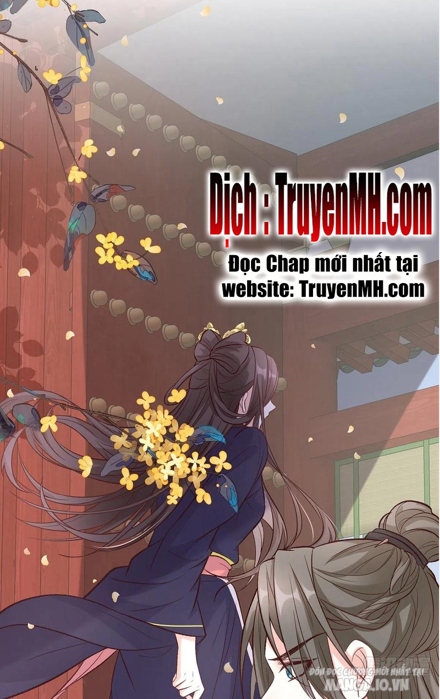 Kiều Mỵ Phu Lang, Tại Tuyến Lục Trà Chapter 67 - Trang 2